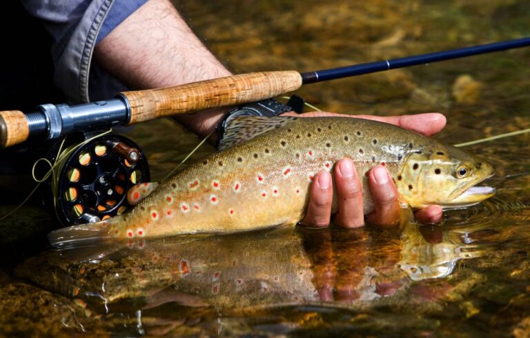 pêche à la truite