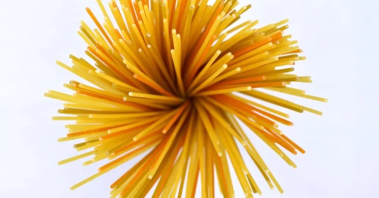découvrez la recette parfaite de spaghetti : des pâtes al dente servies avec une délicieuse sauce maison, des ingrédients frais et des astuces pour un repas italien authentique qui ravira vos papilles.