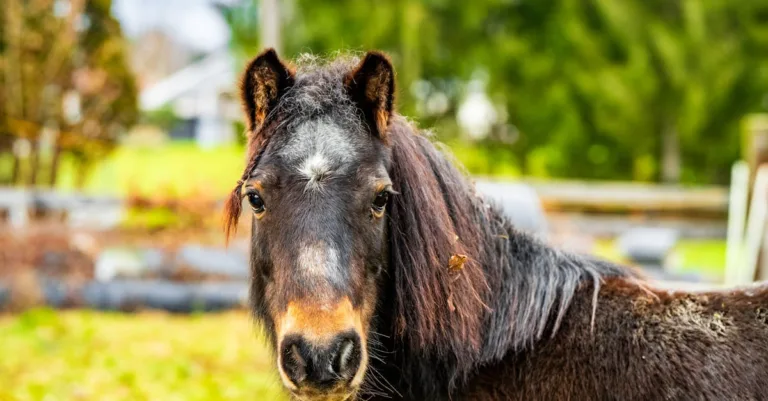 découvrez la durée d'un pet scan et ce à quoi vous attendre lors de cet examen médical. obtenez toutes les informations essentielles pour vous préparer efficacement à cette procédure d'imagerie avancée.