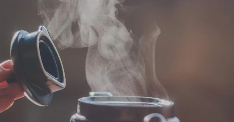 découvrez l'art de l'ébullition : méthodes, astuces et recettes pour optimiser la cuisson de vos aliments. apprenez à maîtriser la température et le temps de cuisson pour des plats savoureux et parfaitement cuits.