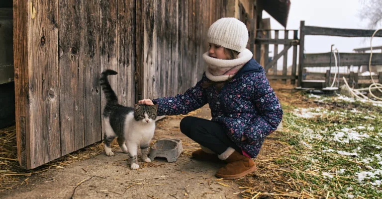 découvrez la durée de vie des chats, les facteurs qui l'influencent et des conseils pour assurer la santé et le bien-être de votre compagnon félin tout au long de sa vie.