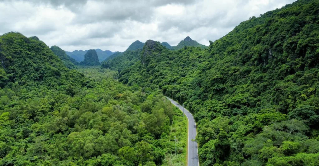 découvrez des routes pittoresques qui vous emportent à travers des paysages à couper le souffle. que ce soit des côtes majestueuses, des montagnes majestueuses ou des forêts luxuriantes, vivez l'expérience des drives panoramiques qui révèlent la beauté cachée de la nature.