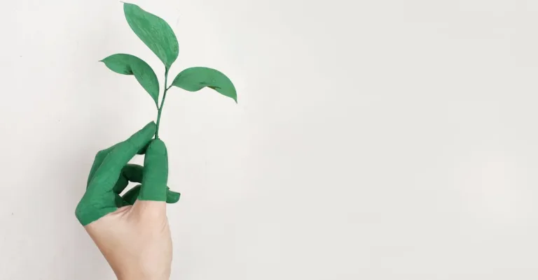 découvrez des solutions éco-responsables pour un mode de vie durable. adoptez des pratiques favorables à l'environnement avec nos conseils et produits éco-friendly, et contribuez à préserver notre planète.