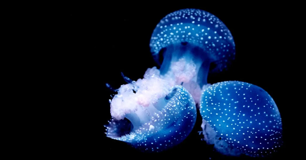 découvrez notre vaste sélection de téléchargements, incluant des logiciels, des applications, des fichiers multimédias et bien plus encore, pour améliorer votre expérience numérique.