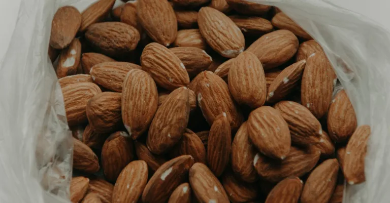 découvrez des astuces et recettes pour un bulking végétarien réussi. apprenez à augmenter votre masse musculaire tout en respectant votre régime sans viande grâce à des aliments riches en protéines et nutritifs.