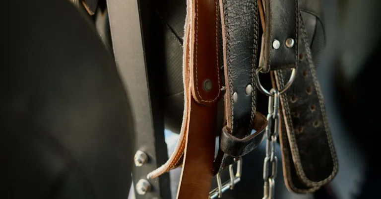 découvrez notre collection de ceintures tendance pour hommes et femmes : des modèles élégants, confortables et adaptés à tous les styles. trouvez la ceinture parfaite pour sublimer vos tenues au quotidien.