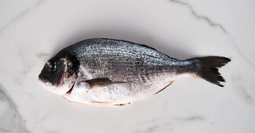 tout sur les oméga-3: bienfaits pour le cœur et le cerveau, sources (poissons gras, noix, graines) et conseils pour bien les intégrer au quotidien.