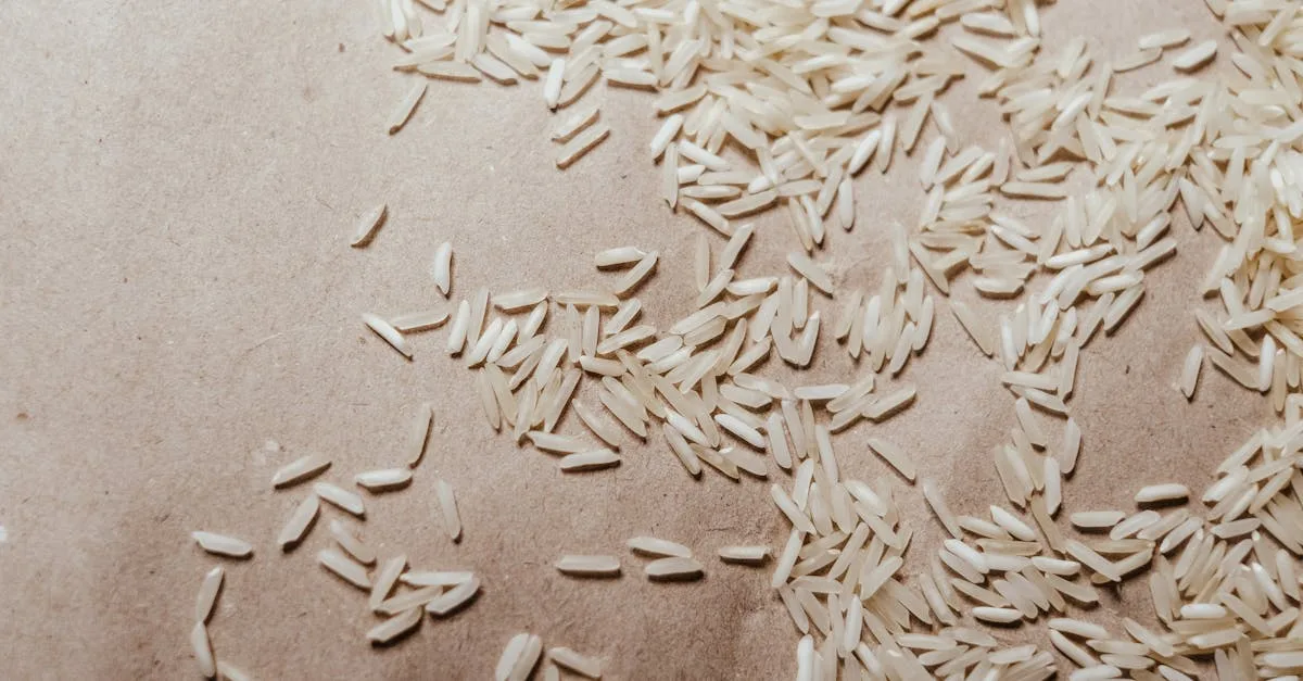 découvrez le riz basmati, un riz aromatique originaire d’inde et du pakistan, réputé pour ses grains longs, son parfum délicat et sa texture légère. parfait pour accompagner vos plats exotiques et recettes du monde.
