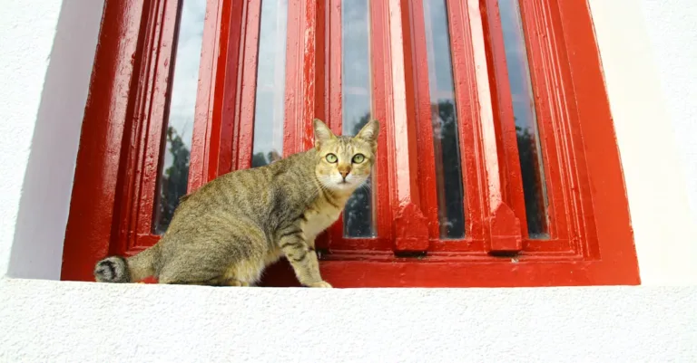 découvrez les nombreux bienfaits du diamond painting : activité créative relaxante, réduction du stress, stimulation de la concentration et amélioration de la motricité fine. essayez ce loisir artistique apaisant pour booster votre bien-être et votre créativité.