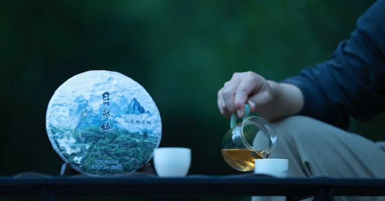 découvrez infuse, l’outil incontournable pour gérer, organiser et profiter de tous vos contenus multimédias en streaming avec une interface élégante et intuitive.