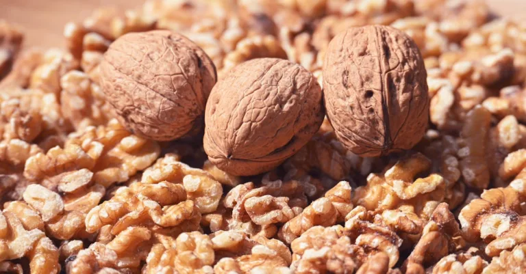 découvrez notre barre protéinée, idéale pour une collation saine après le sport ou pour un regain d'énergie à tout moment de la journée. riche en protéines, pratique et savoureuse !