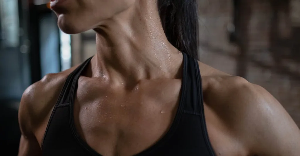 découvrez tout sur les épaules : anatomie, exercices pour renforcer cette zone, conseils pour éviter les blessures et astuces pour améliorer votre posture au quotidien.