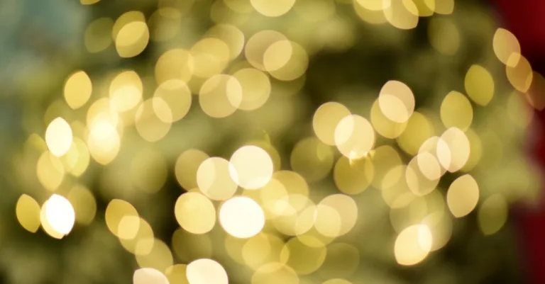 découvrez l'efficacité de l'ab circle pro pour tonifier vos abdominaux, brûler les graisses et renforcer votre ceinture abdominale grâce à un entraînement facile et rapide.