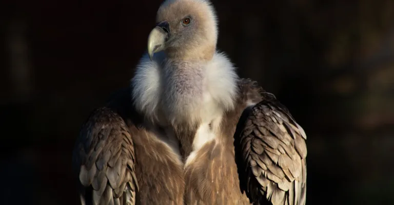 mettez à jour votre adresse facilement et rapidement pour recevoir toutes vos communications sans interruption.