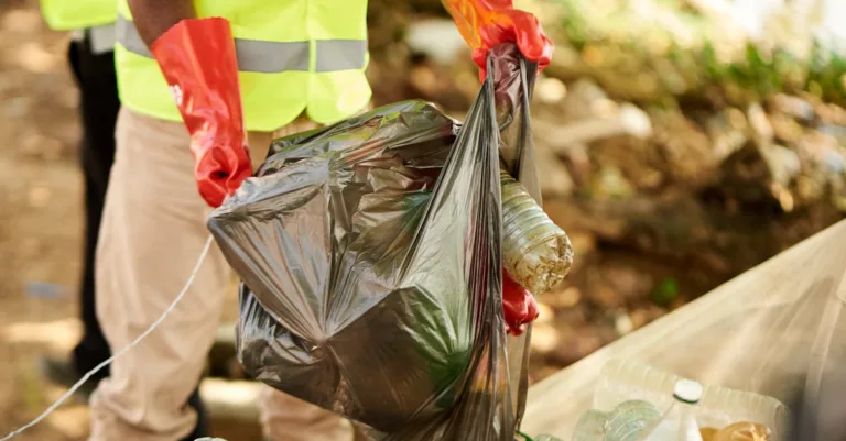 découvrez notre engagement envers la responsabilité environnementale, en adoptant des pratiques durables pour protéger notre planète et assurer un avenir sain pour tous.