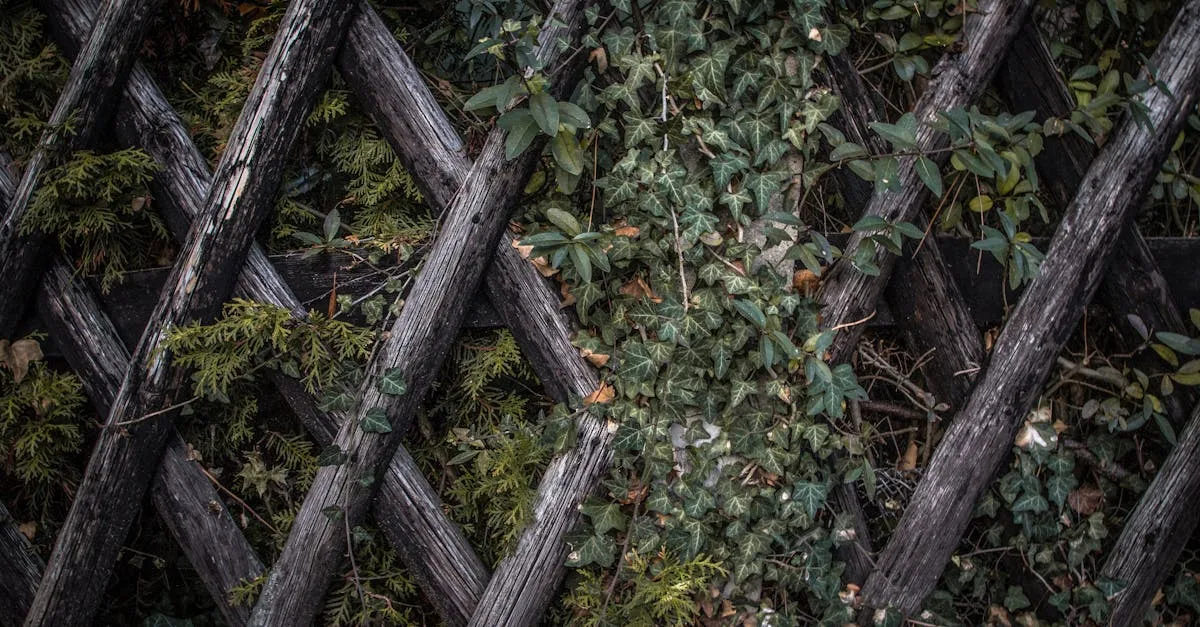 découvrez belleville, un quartier dynamique et incontournable de paris, alliant histoire, culture et diversité.