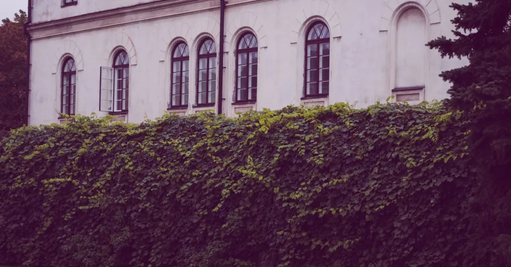 découvrez belleville, un quartier dynamique et culturel de paris, riche en histoire, art et gastronomie, idéal pour une visite authentique.