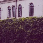 découvrez belleville, un quartier dynamique et culturel de paris, riche en histoire, art et gastronomie, idéal pour une visite authentique.