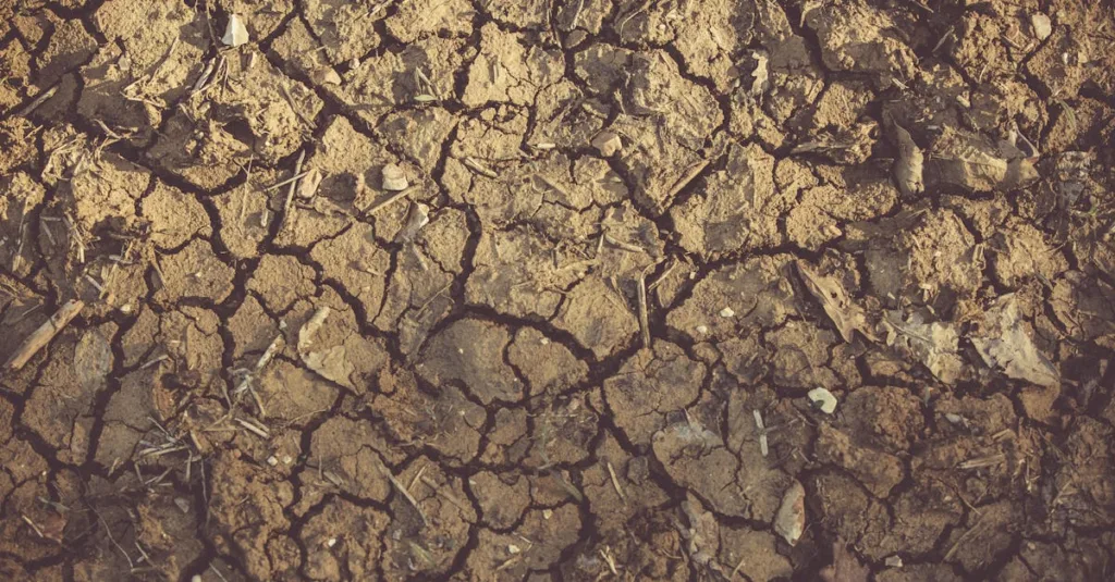 clinside : découvrez une plateforme innovante pour optimiser la gestion de vos projets et améliorer la collaboration en équipe.