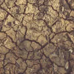 clinside : découvrez une plateforme innovante pour optimiser la gestion de vos projets et améliorer la collaboration en équipe.