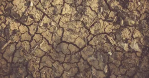 clinside : découvrez une plateforme innovante pour optimiser la gestion de vos projets et améliorer la collaboration en équipe.