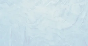 doityvette : votre partenaire de confiance pour des solutions innovantes et sur mesure.