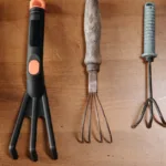 découvrez nos conseils de jardinage pratiques pour avoir un jardin sain et florissant toute l'année. astuces faciles et efficaces pour jardiniers débutants et confirmés.