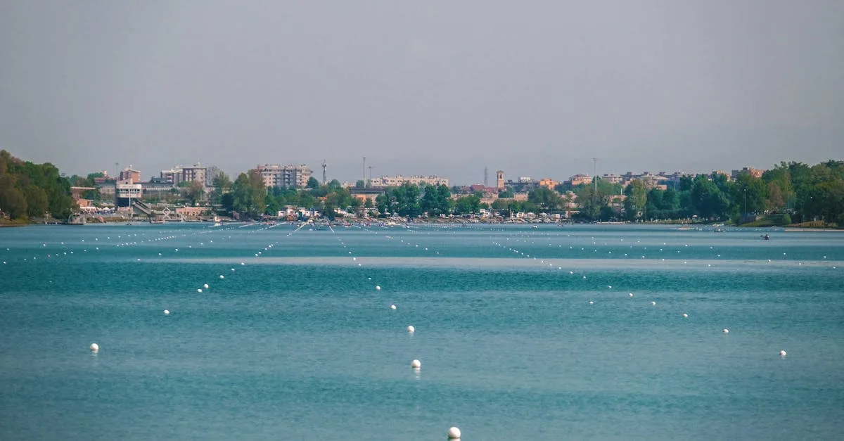 découvrez sandhamn alexander, une série captivante mêlant mystère et aventures au cœur de l'archipel suédois.