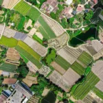 découvrez l'agriculture écologique, une approche durable qui respecte l'environnement, favorise la biodiversité et promeut des pratiques agricoles responsables pour un avenir sain.
