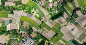 découvrez l'agriculture écologique, une approche durable qui respecte l'environnement, favorise la biodiversité et promeut des pratiques agricoles responsables pour un avenir sain.